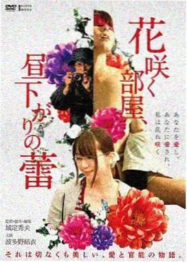 情感电影合集 免费观看